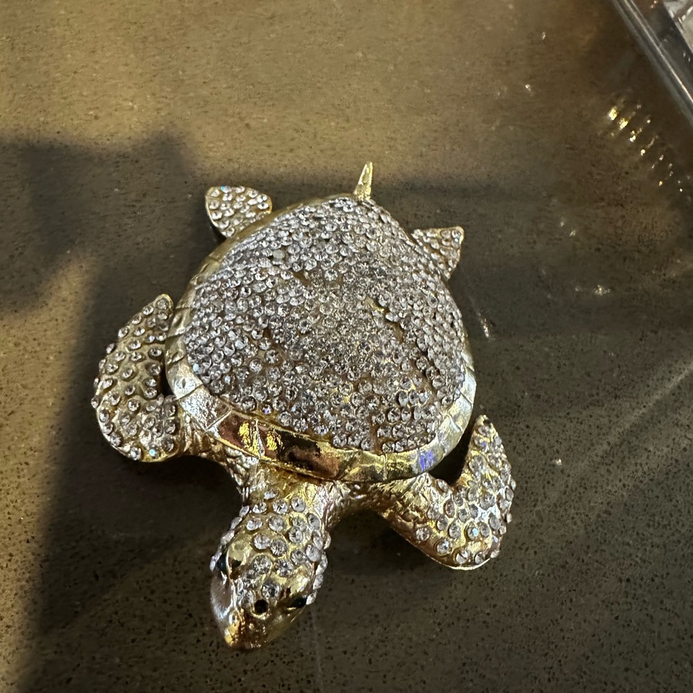Turtle